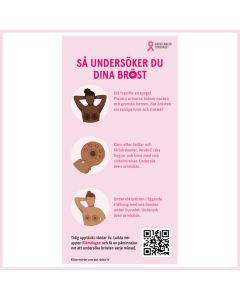 Spegelsticker – SVENSK